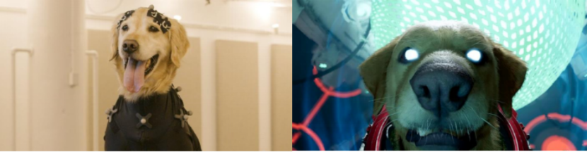 德赢·(VWIN)官方网站-AC米兰官方相助同伴