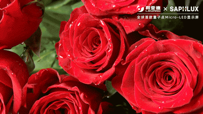 德赢·(VWIN)官方网站-AC米兰官方相助同伴