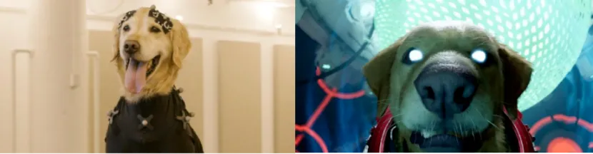 德赢·(VWIN)官方网站-AC米兰官方相助同伴