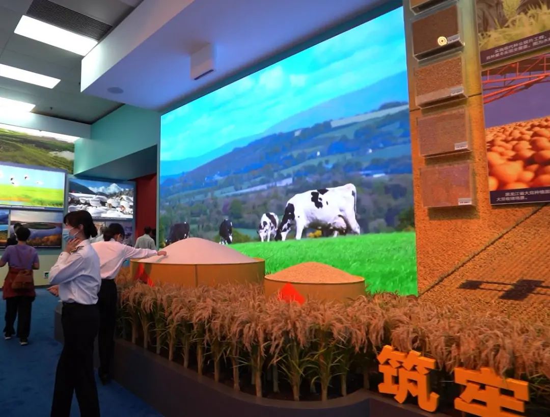 德赢·(VWIN)官方网站-AC米兰官方相助同伴