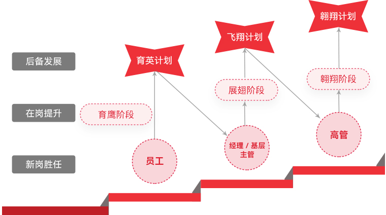 德赢VWIN "雄鹰妄想"人才梯队作育